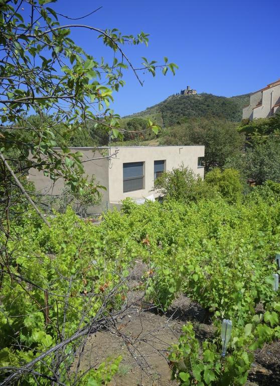 Le Clos Saint Elme コリウール エクステリア 写真